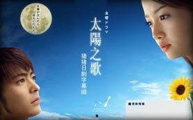 太阳之歌,探寻光明与希望的诗意旅程